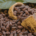 Alfredo Moreira Filho