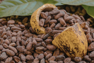 Alfredo Moreira Filho