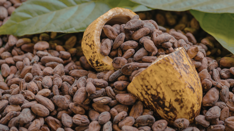 Alfredo Moreira Filho