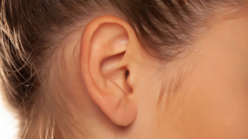 Haeckel Cabral Moraes