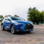 SUV Lexus NX azul estacionado ao ar livre, cercado por árvores.